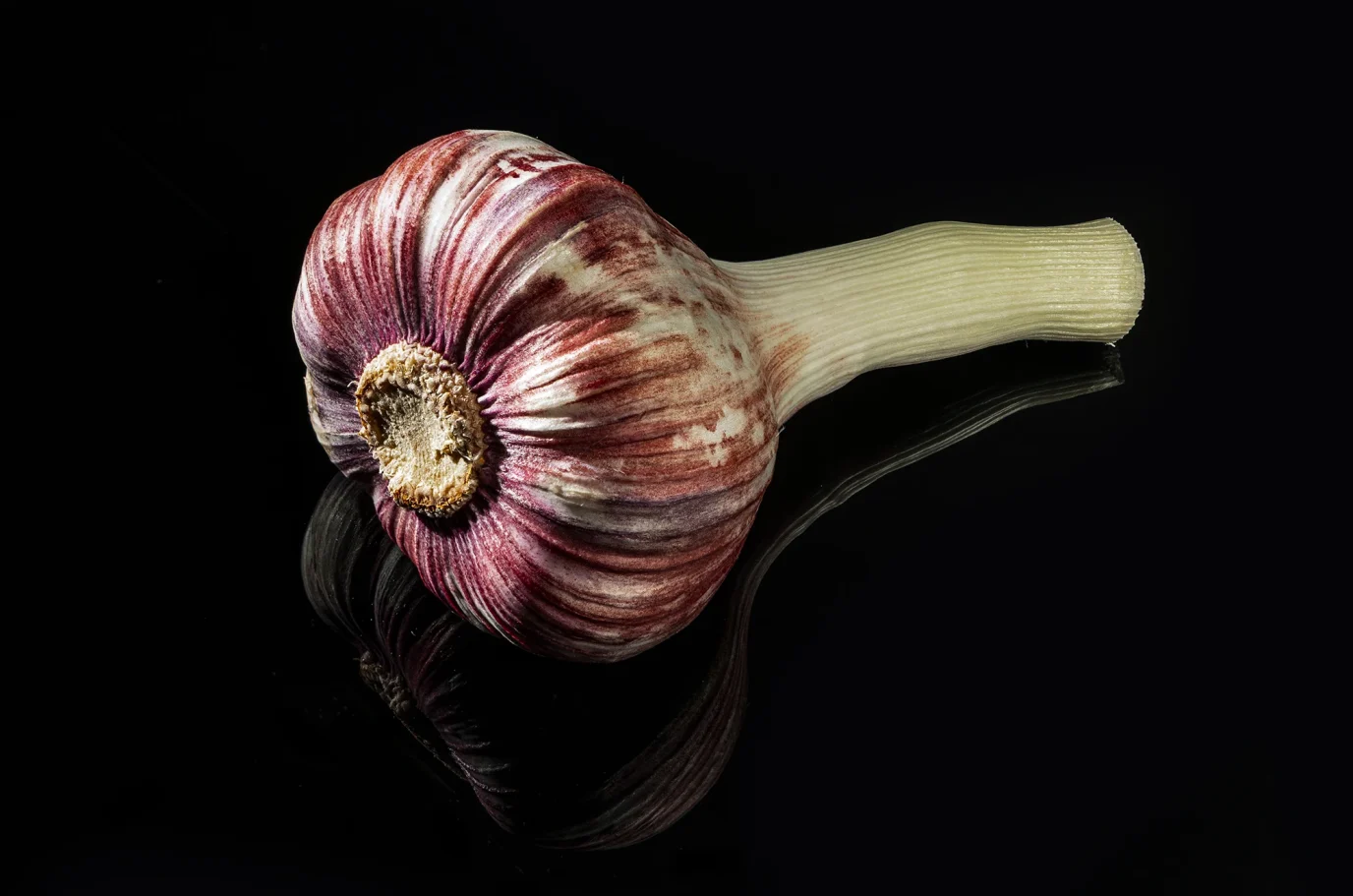 Eine rote Knoblauchknolle mit weißen Schalen, schwarzem glänzenden Hintergrund.